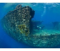 BUCEO EN SHARM EL SHEIKH