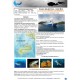 Cocos con Blue Planet a bordo del Okeanos Aggressor II
