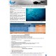 Cocos con Blue Planet a bordo del Okeanos Aggressor II