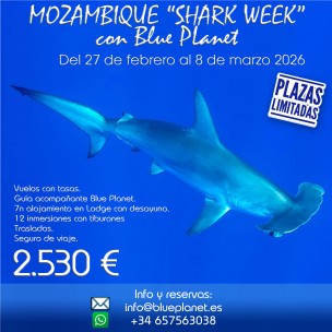 http://www.blueplanet.es/10842-thickbox/mozambique-shark-week-con-blue-planet.jpg