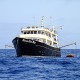 Revillagigedo a bordo del Rocío del Mar con Blue Planet