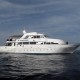 M / Y Thunderbird