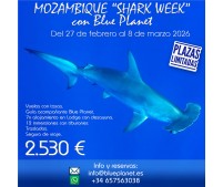 Mozambique Shark week con Blue Planet
